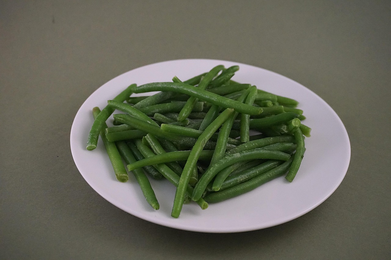 绿豆观察天记录内容〃绿豆观察日记表格8天